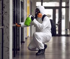 Best Asbestos and Lead Testing During Mold Inspection in Belcourt, ND